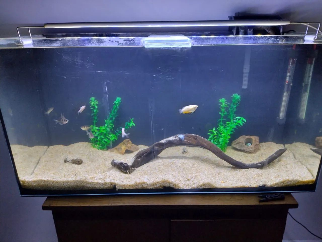 AQUÁRIO 96 LITROS - Foto 2