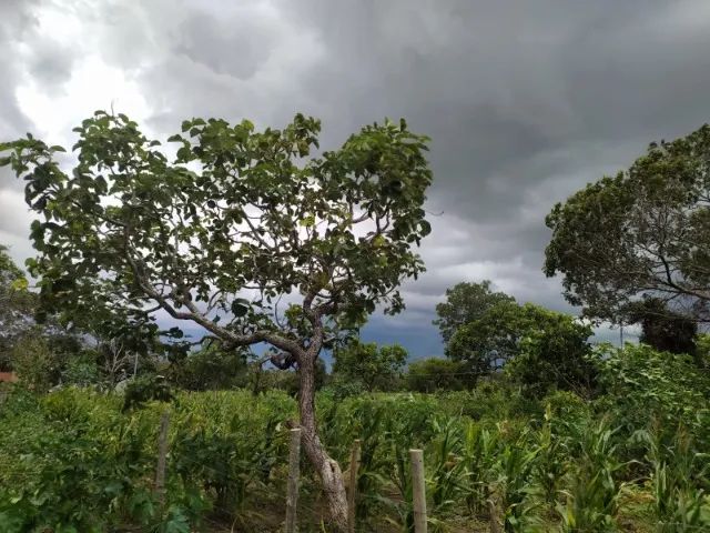 Vende-se chácaras a partir de 1.000 m² em Aragoiânia - Goiás - Foto 2