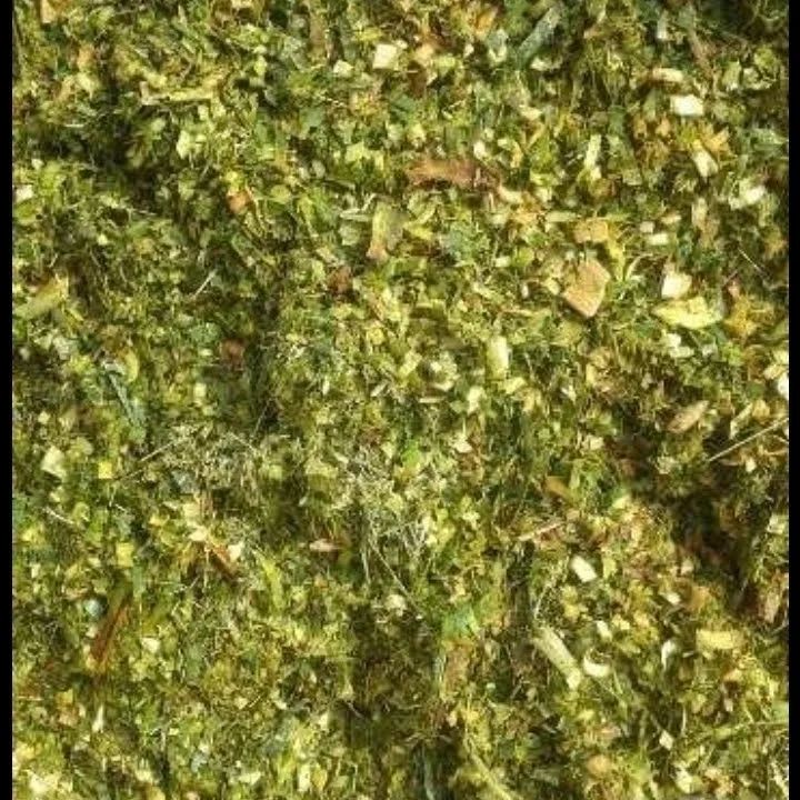Silo de abacaxi verde