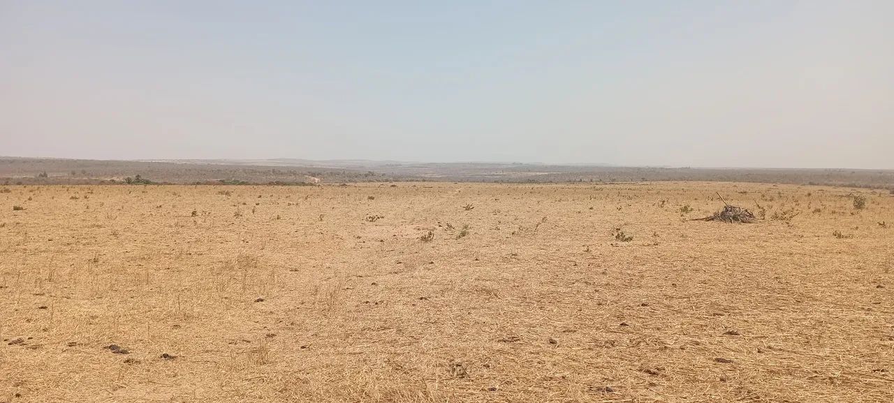 Procuro sócio ou investidor urgente  - Foto 2