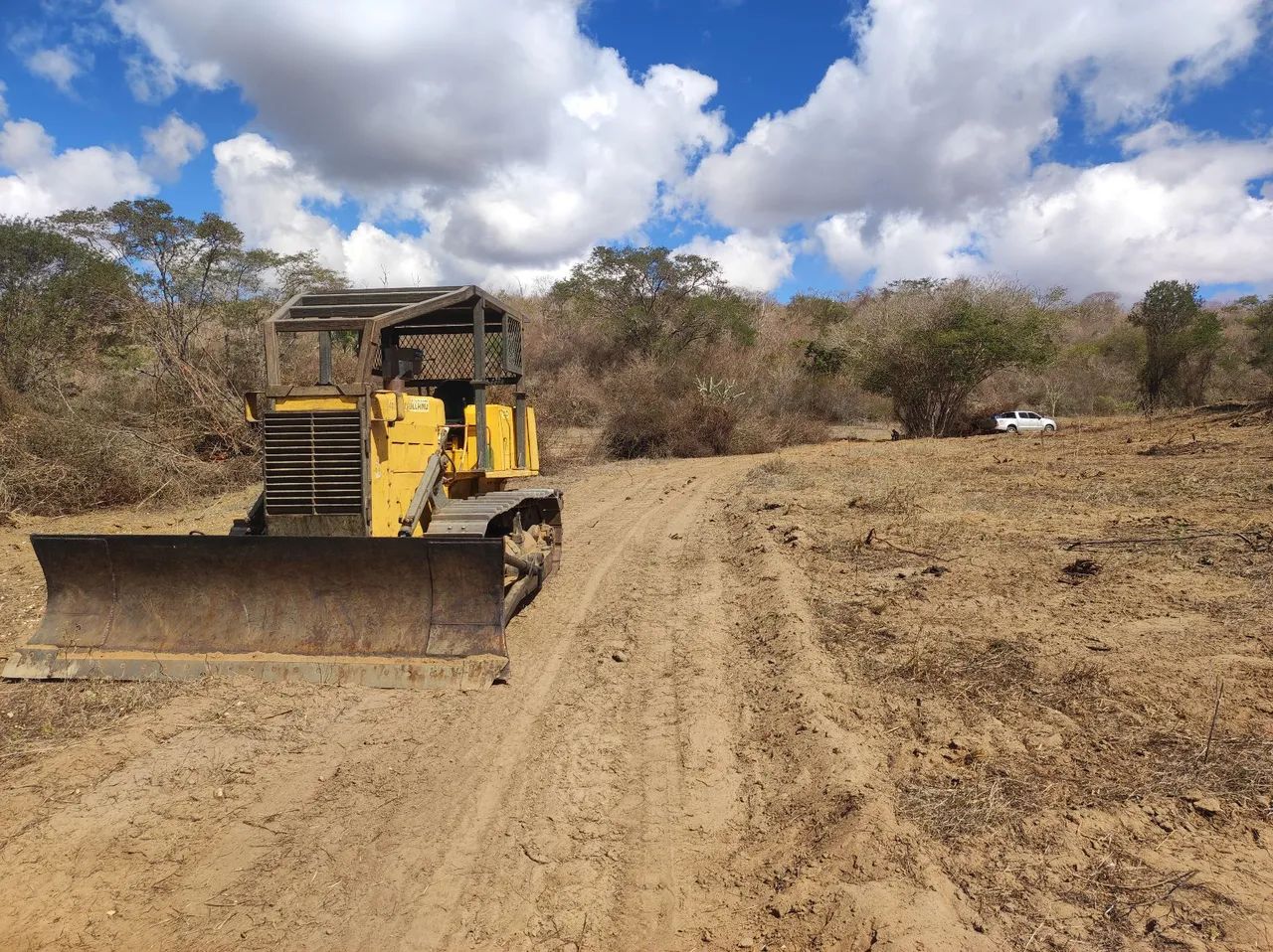 Trator de esteira 7D 2002