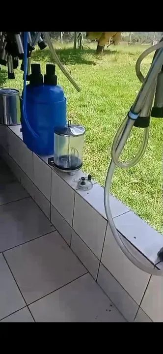 Ordenha Balde ao pé 2 conjuntos. - Foto 2