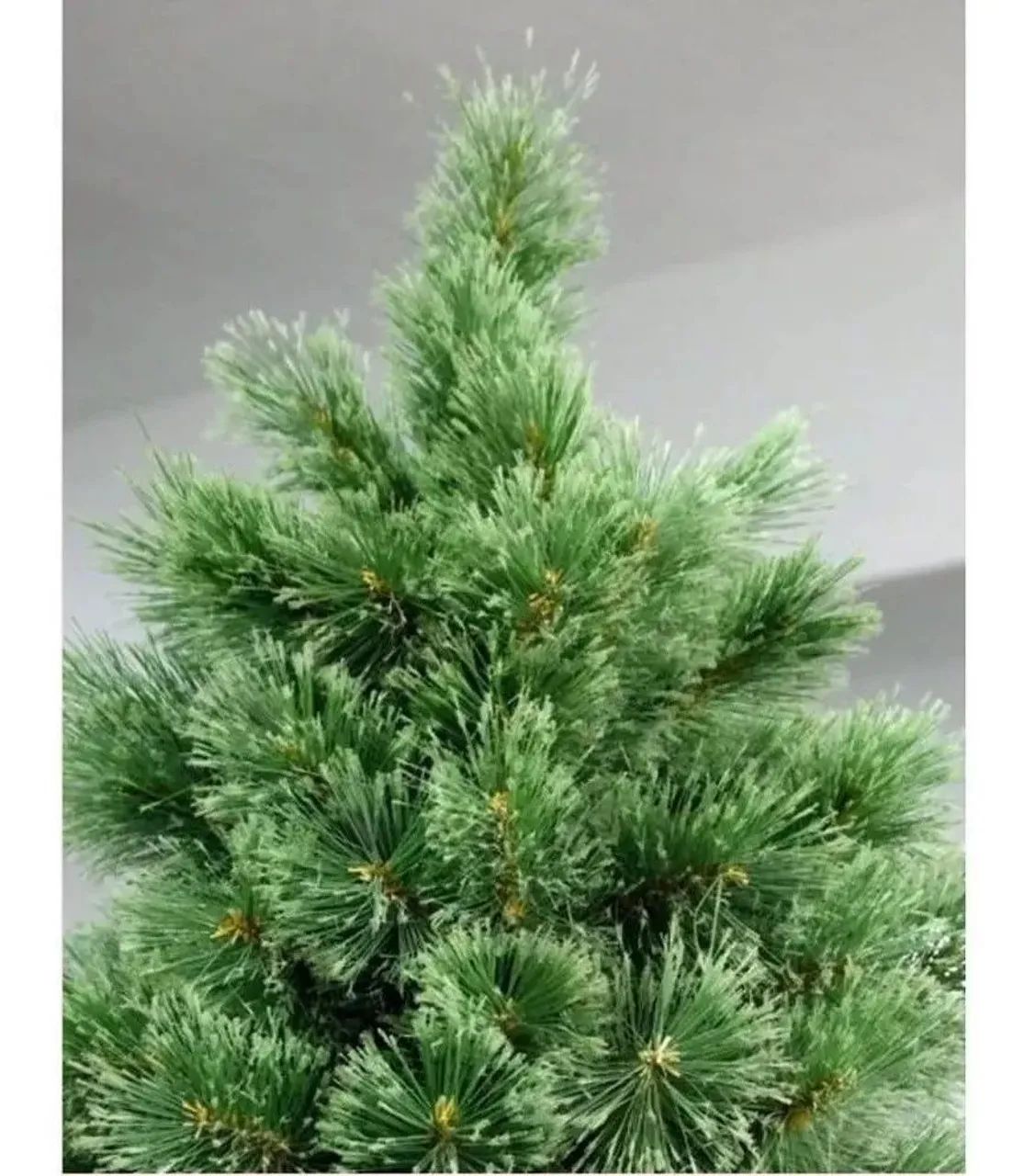 Arvore de Natal 3 metros - Foto 4