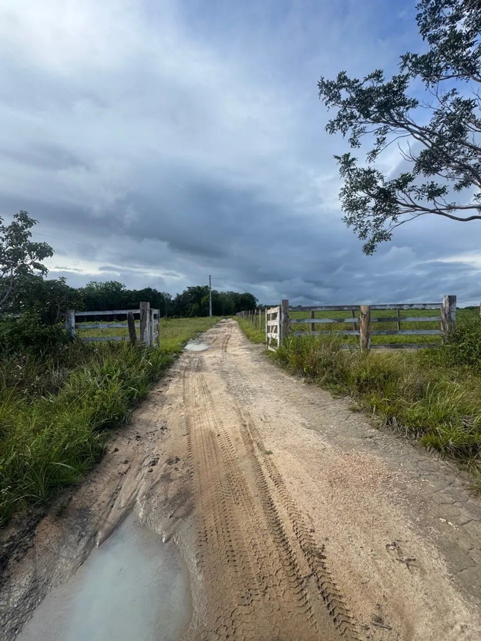 Fazenda à Venda no Porto Grande, Macapá:* - Foto 4