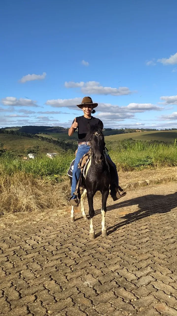 Garanhão piquira top