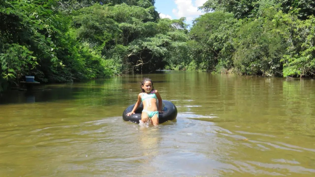 Imóvel para venda com 5000 metros quadrados com 2 quartos em Poção - Cuiabá - MT - Foto 4