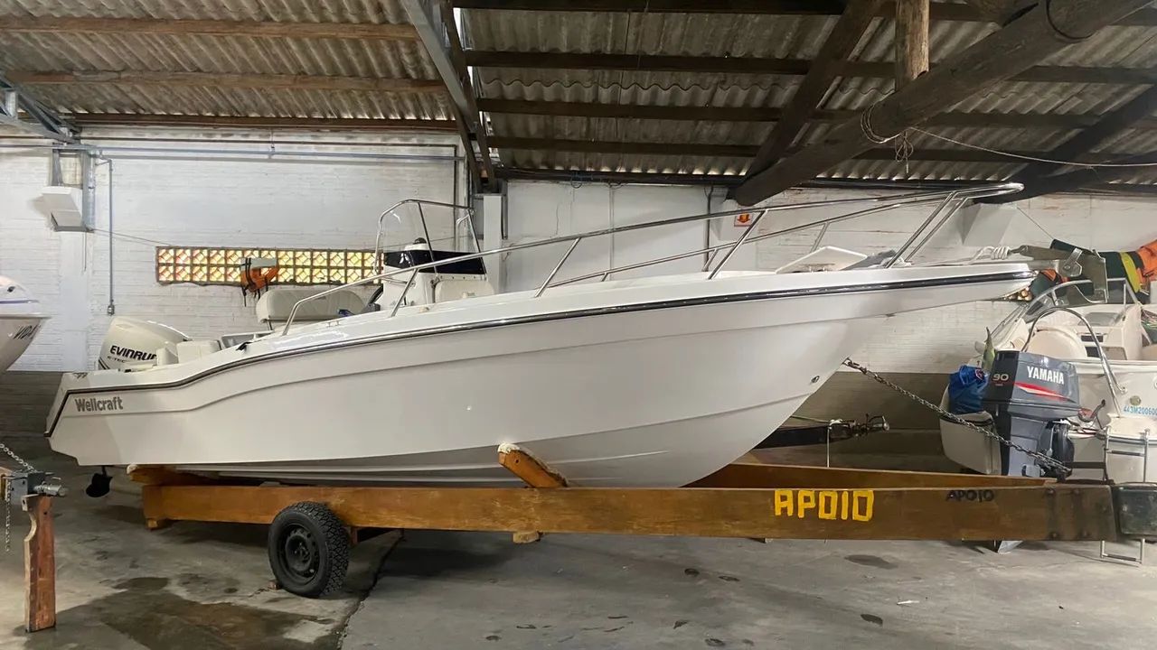 Wellcraft 230 - 2013 x1 Evinrude E-TEC 150 HP ñ Fishing Victory 