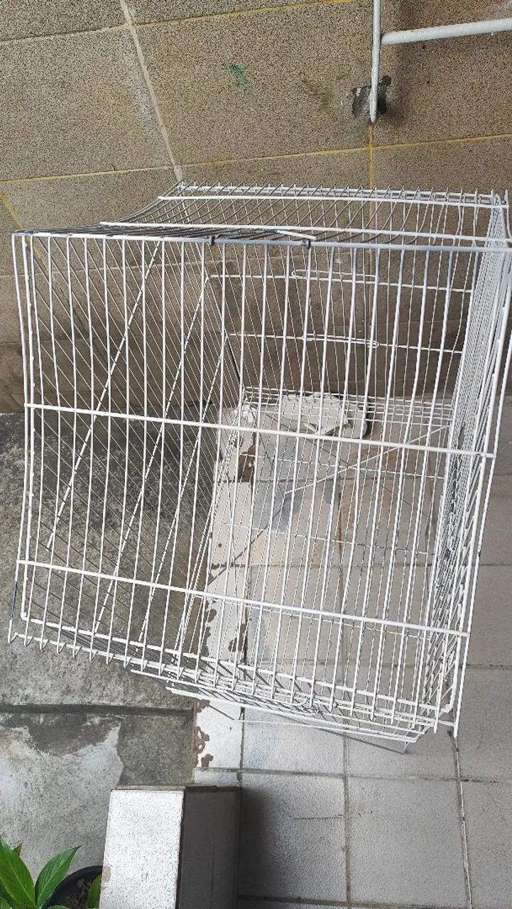 Gaiola para passarinho (calopsita, periquitos, agapórnis,etc) em ótimo estado  - Foto 3