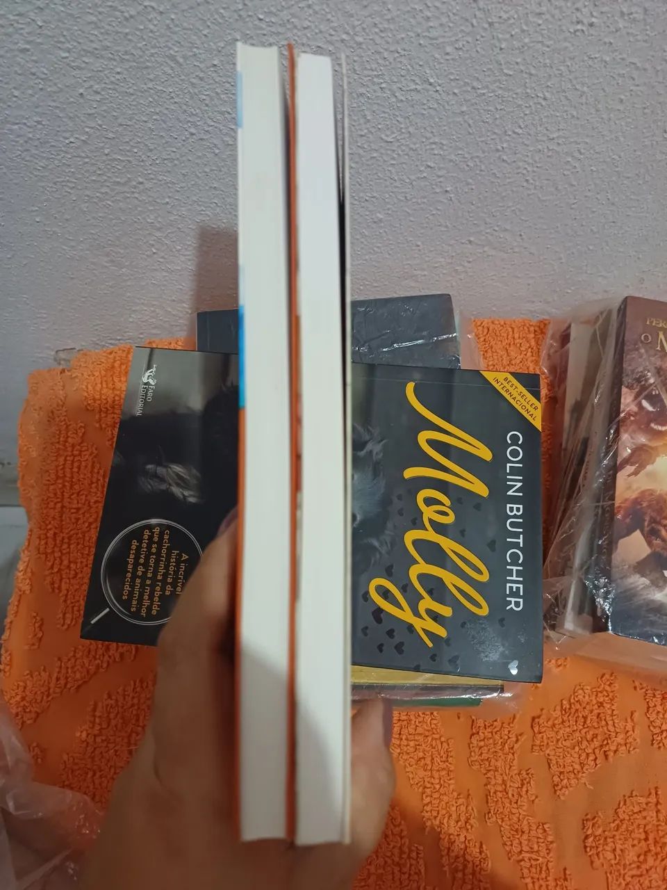 Livros sobre a vida com cães - Foto 2