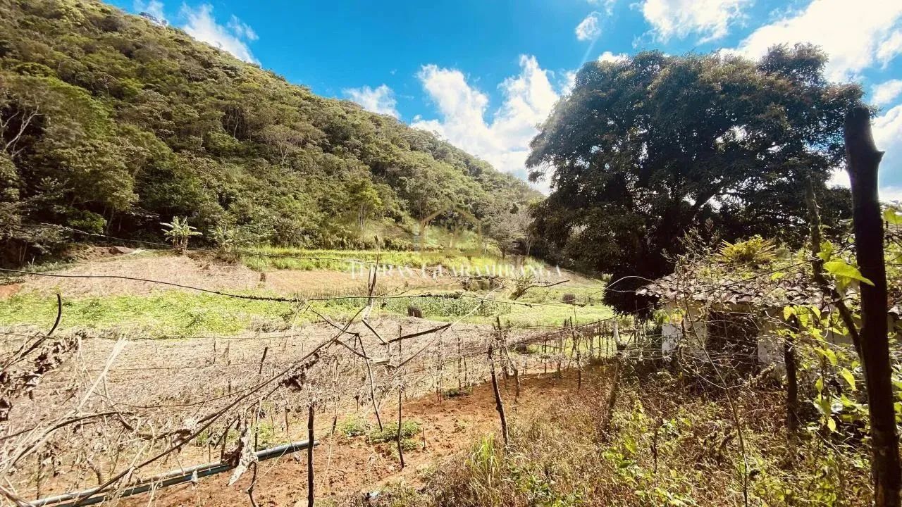 Terreno para venda Monguba Pacoti - Foto 5