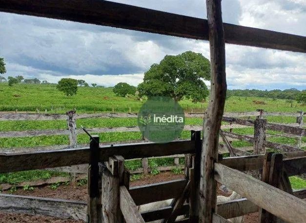 Fazenda à venda, 11625075 m² por R$ 21.350.000,00 - Zona Rural - Paranã/TO