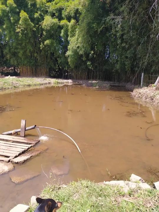 Fazenda as Margens da BR 381 - Foto 4