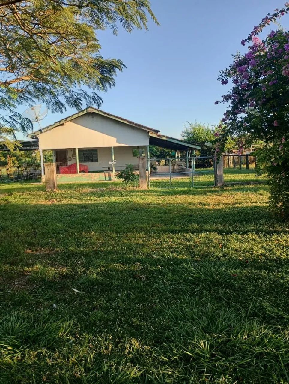Fazenda 500 Alqueire MT