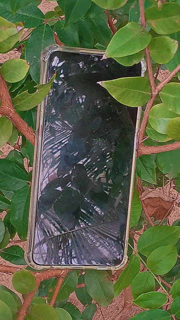 Celular Impecável ?