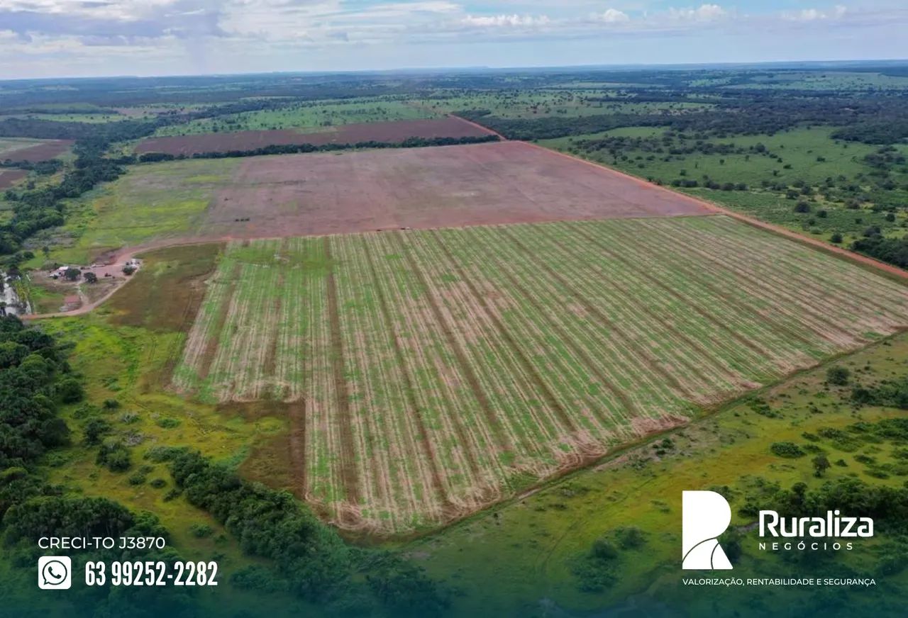 Região de Cristalândia - TO com flexibilidade em negociação estrutura completa para agricu - Foto 2