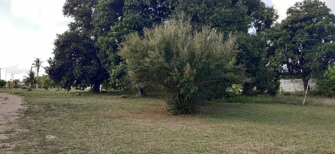 Terreno com 46.200m2 com vista privilegiada em igarassu - Foto 9