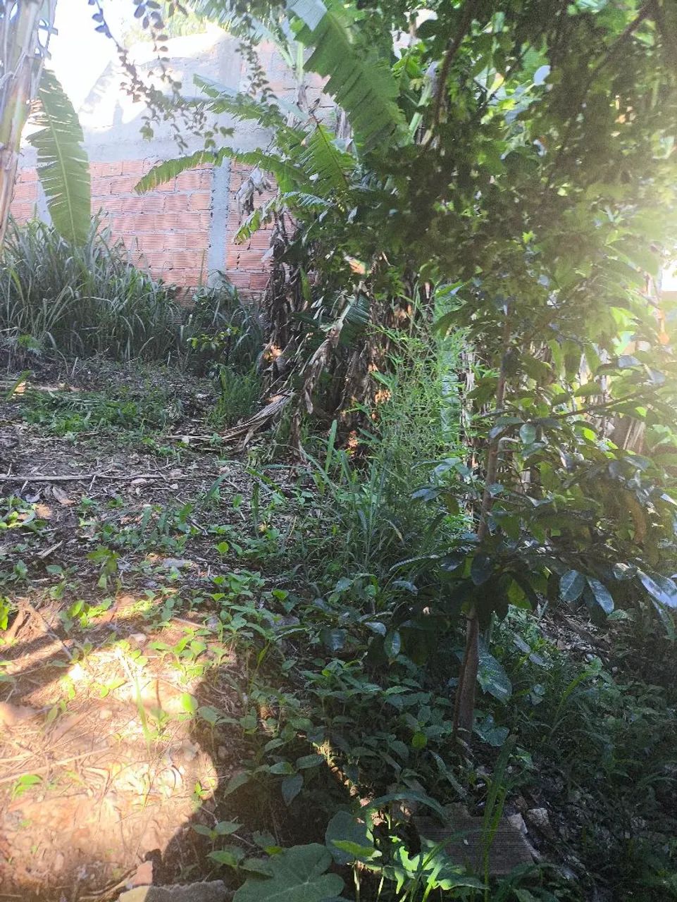 Casa Vendo ou troco em chácara/sitio  - Foto 3