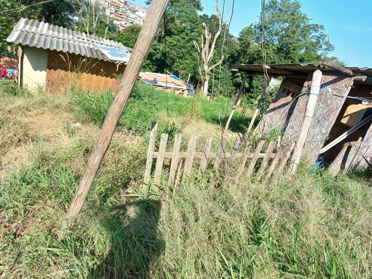 Foto - Ribeirão Pires - Aliança