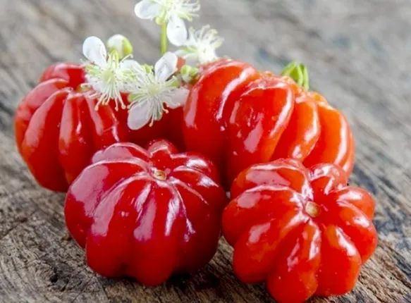 Mudas de Pitanga Organica