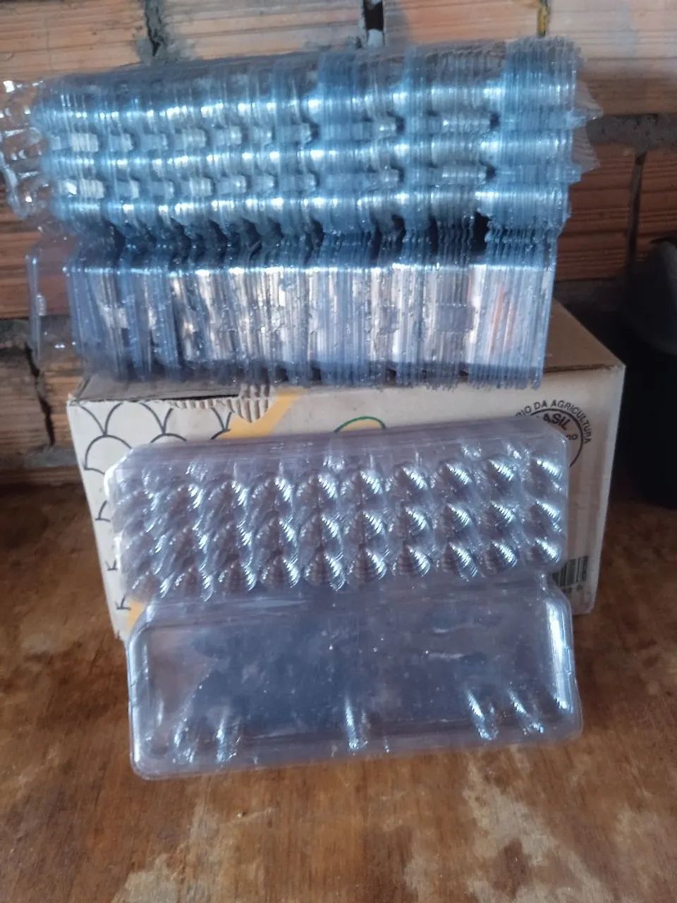 Cartelas para Ovos de Codorna 