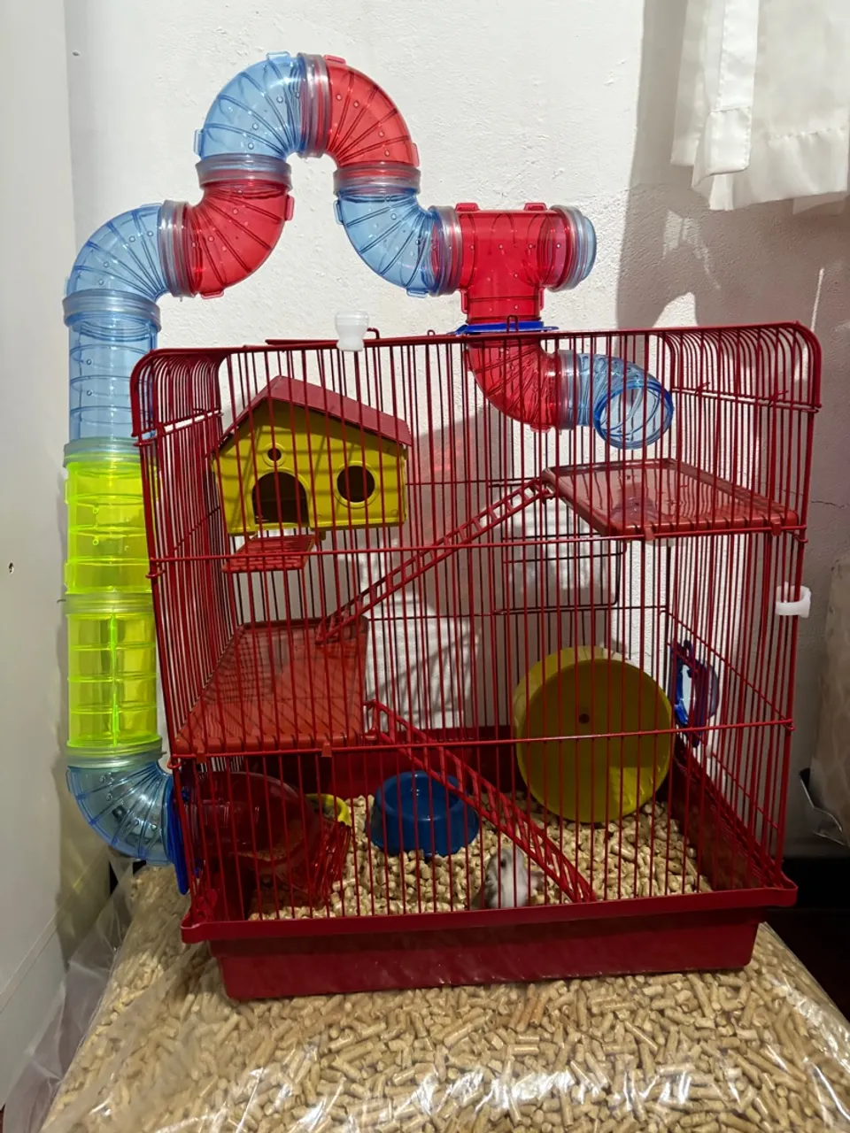 Vendo hamster com gaiola de túnel 