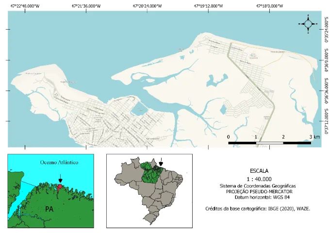 Elaboração de Mapas Profissionais e Análises Geográficas (SIG / GIS) - Foto 5