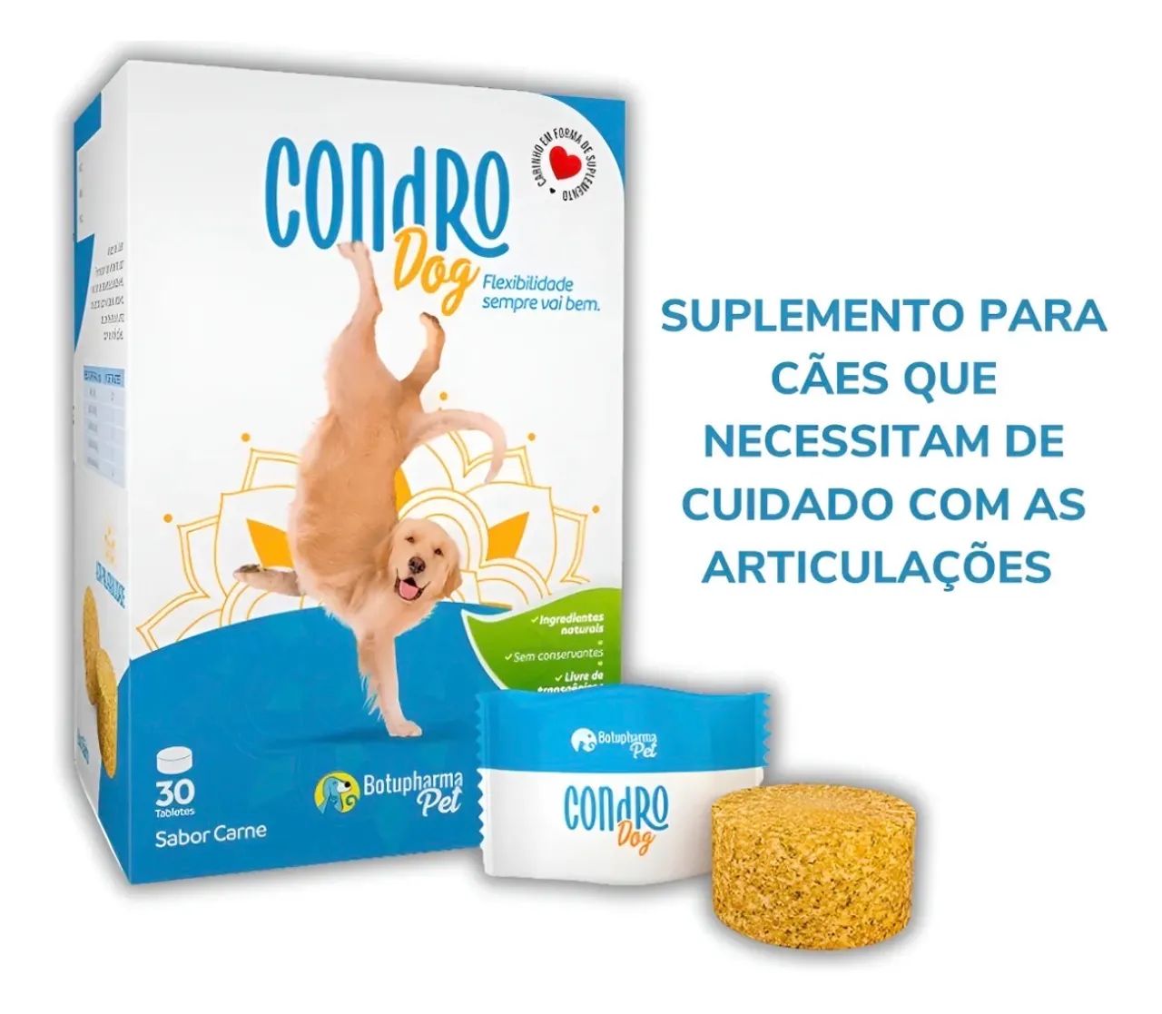 Suplemento Cães Condro Dog Botupharma - 210g - Foto 2