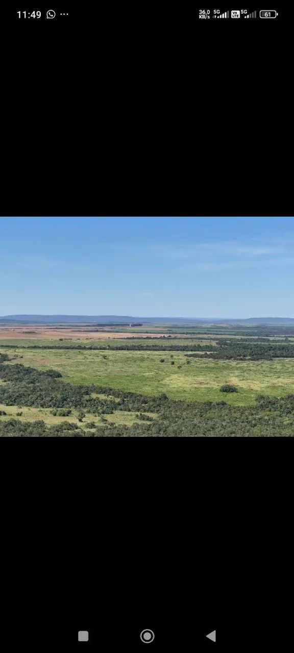 Fazendacde arrendar de 2.200 hec em planalto da serra MT.  - Foto 3