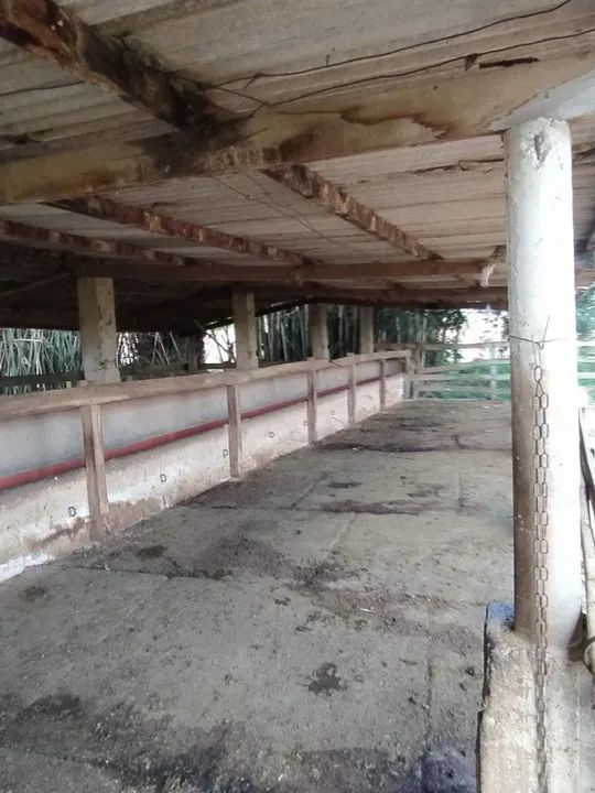 Fazenda as Margens da BR 381 - Foto 5