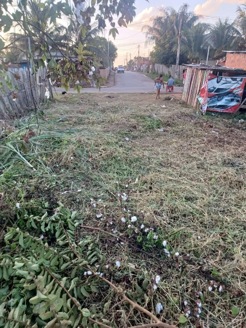 Vendo esse terreno 15mil na beira do asfalto