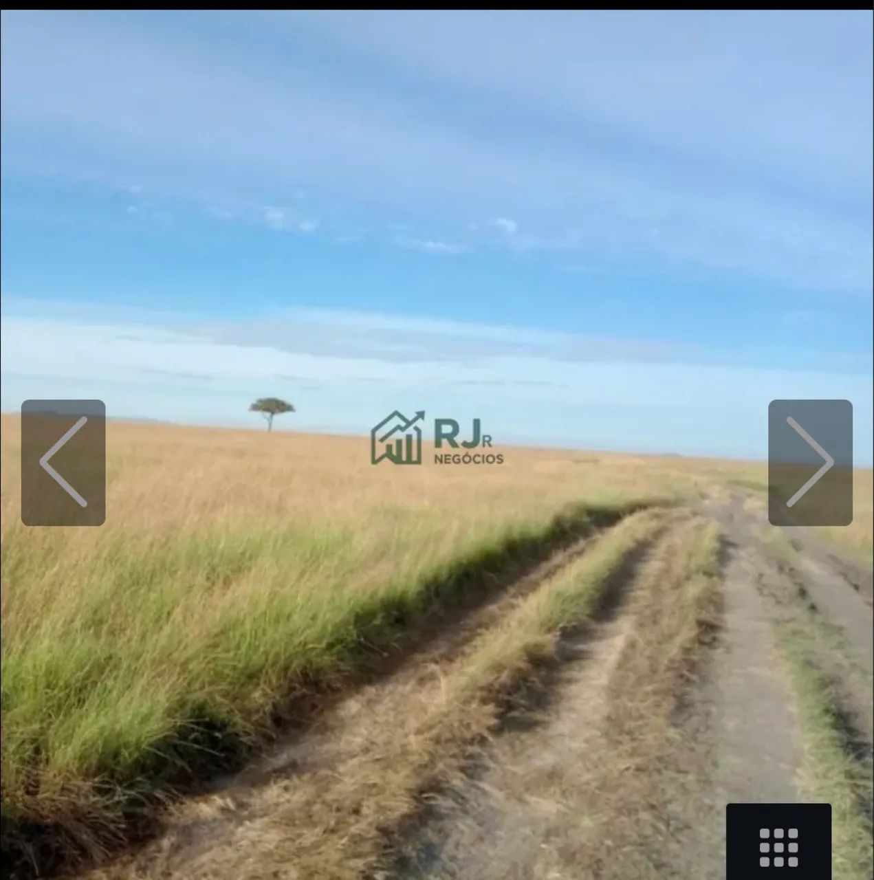 Fazenda à Venda com 76 alq. Distrito Guaravera - Foto 3