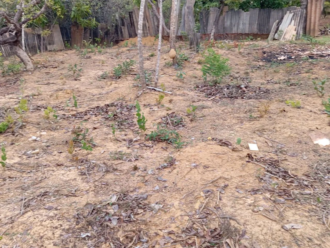 Chácara 10 min Parque Municipal,Aceita Imovel até 120 .000 e volta Diferença!!! - Foto 12