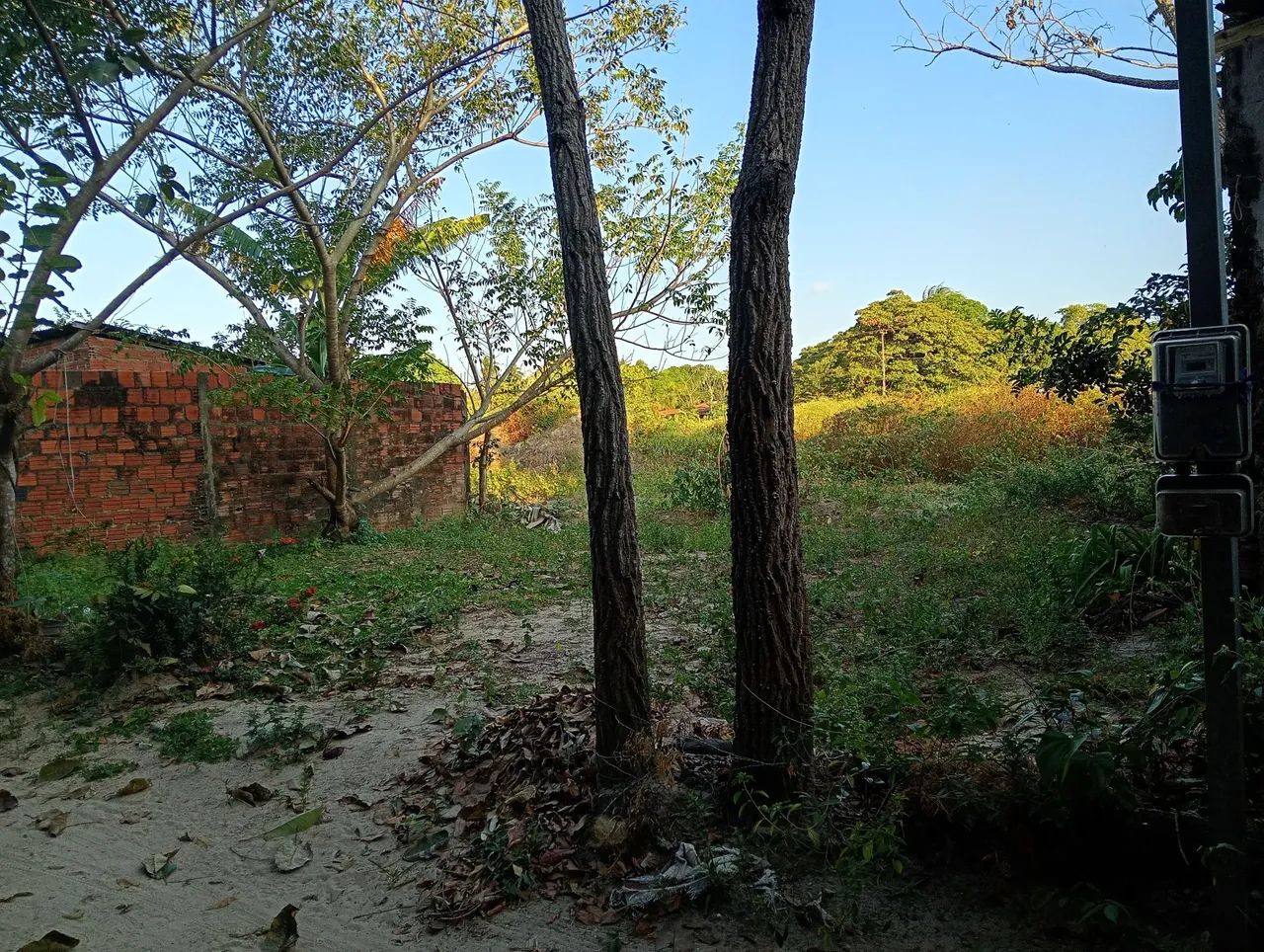 Casa valor 50 mil preço único  - Foto 2