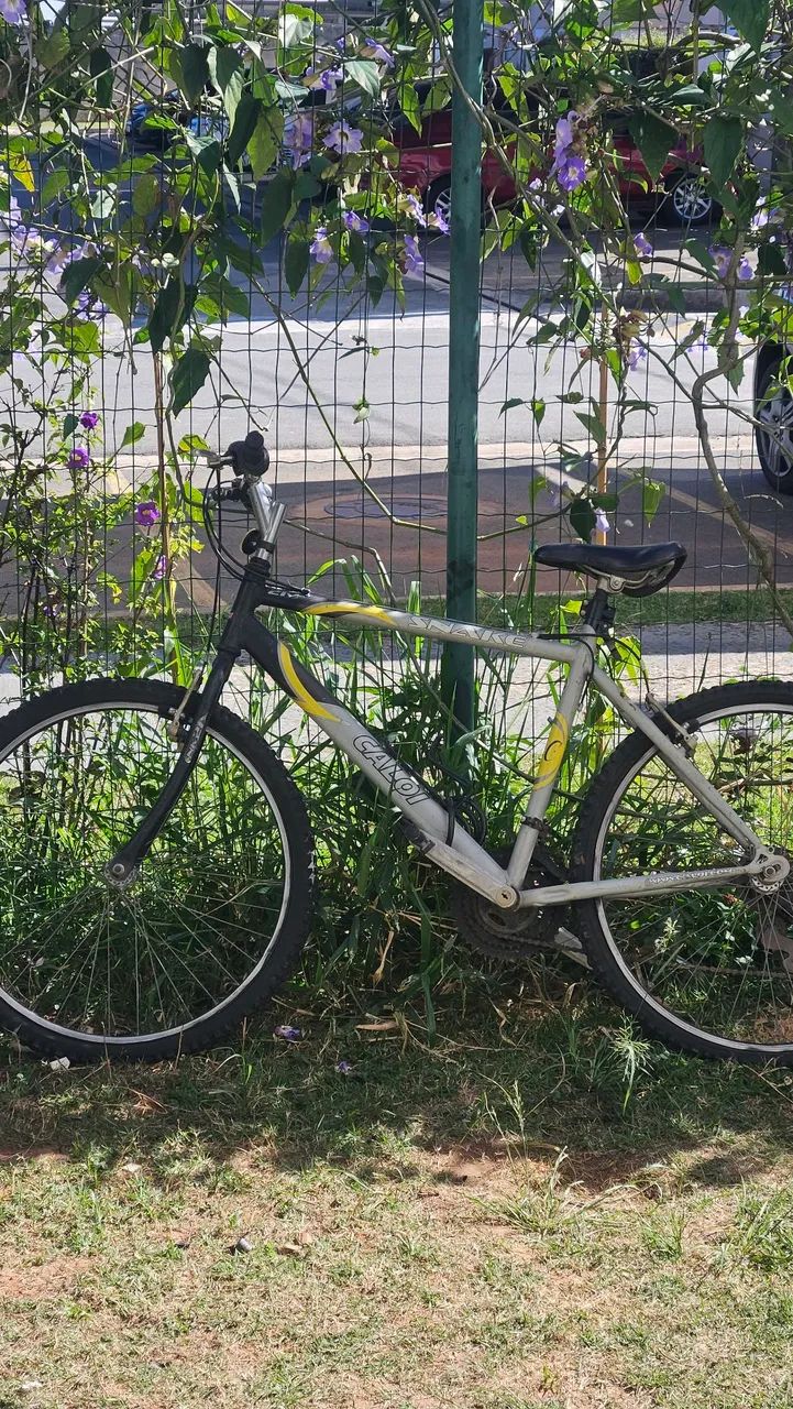 Bicicleta aro 26