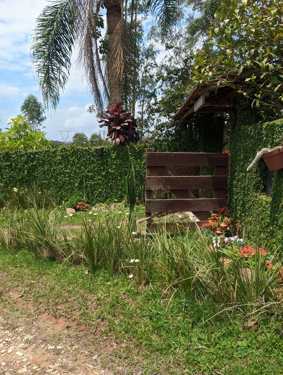 Chácara em estrada do 15, Marsilac. - Foto 2
