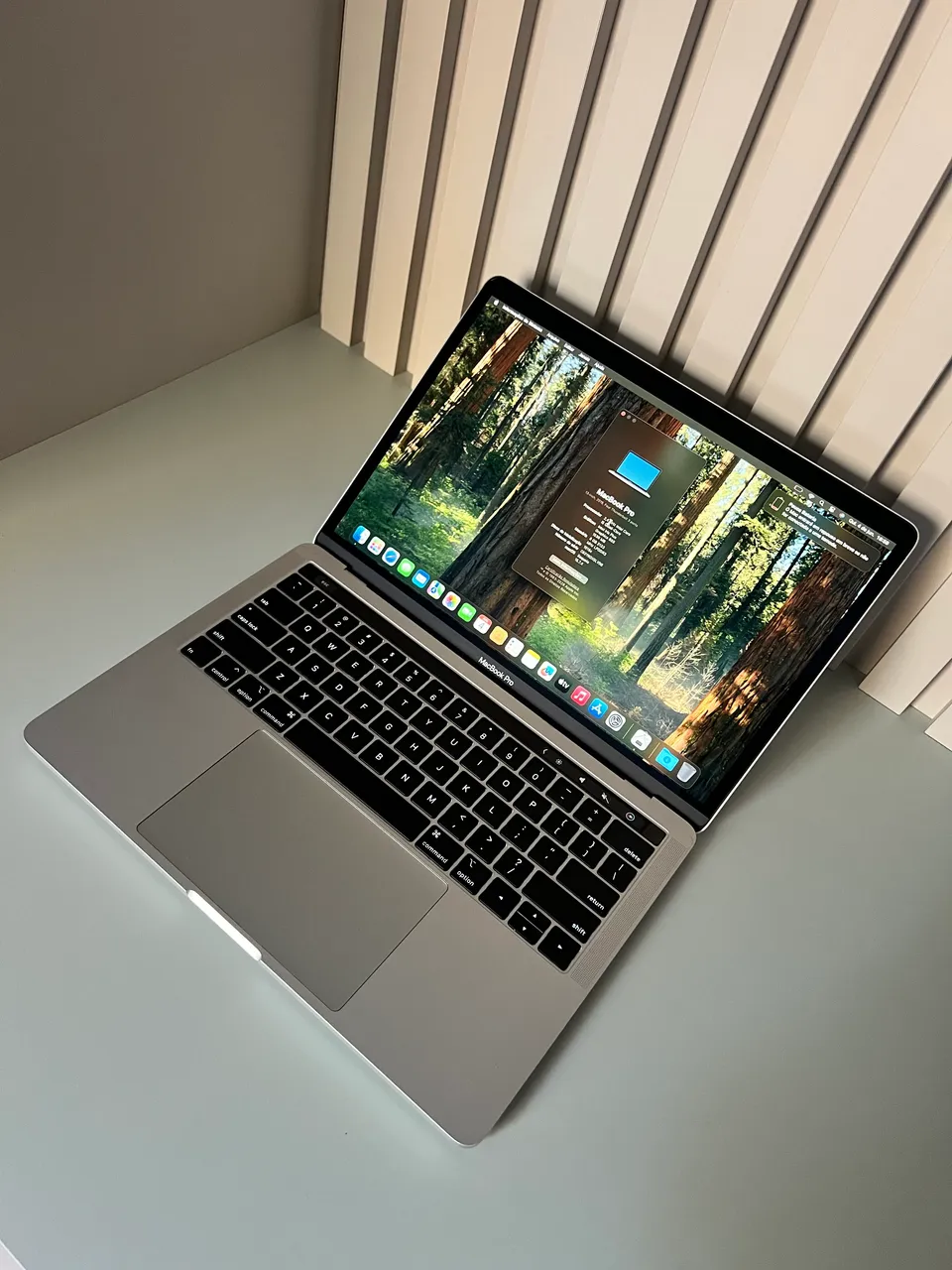 き*ん様 MacBook Pro 2019Core i5 /8GB / SSD1 macbook pro 2019 i5