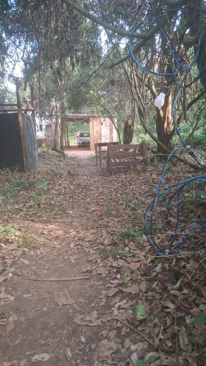 Pesqueiro no Rio Miranda - Foto 4