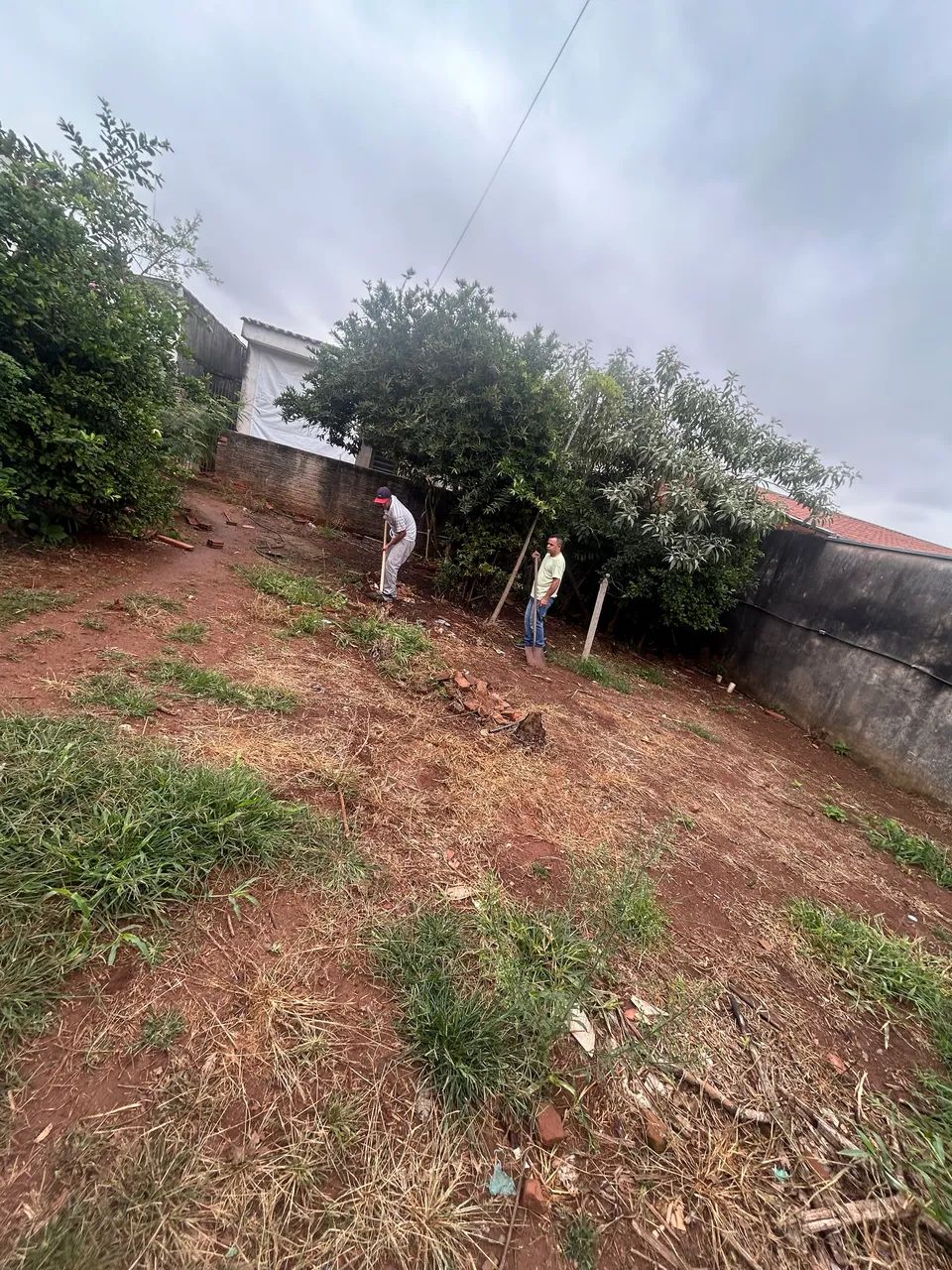 Retiramos pequenos entulhos e limpeza de quintal  - Foto 3