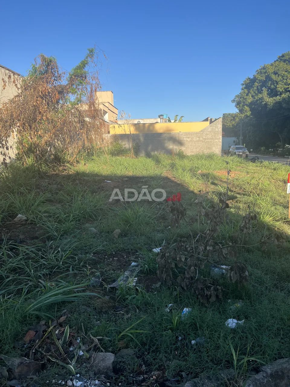 Lote Parque Cascavel - Foto 3