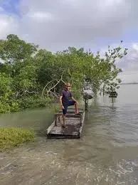 ALCÂNTARA-MA: Ilha a venda de 516 hectares no Litoral Maranhense - Foto 6