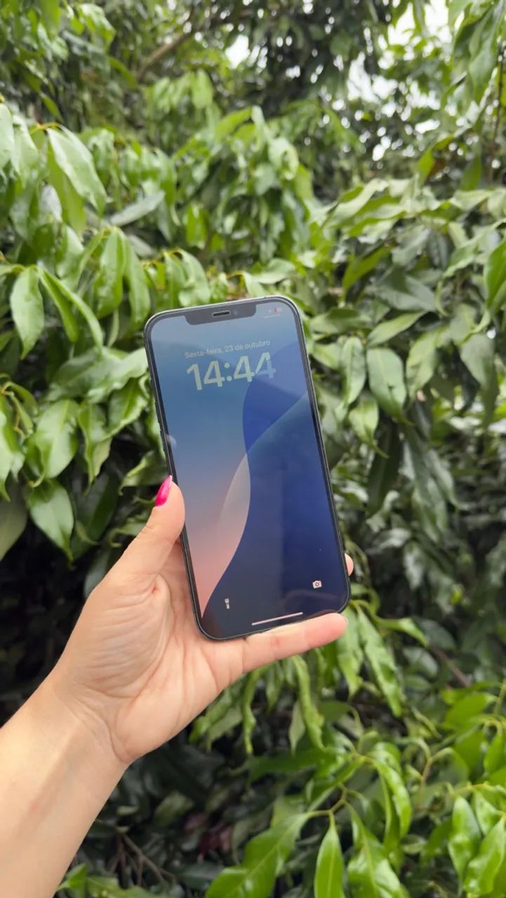 iPhone 12 Pro Max 128G 