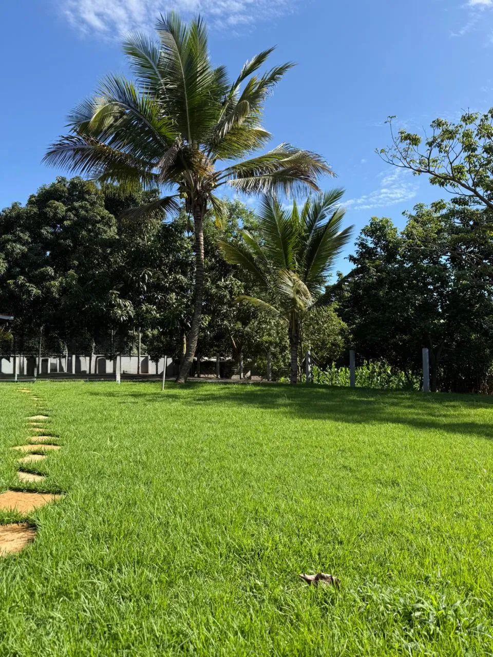 Vendo Chácara em Aparecida de Goiânia  - Foto 4