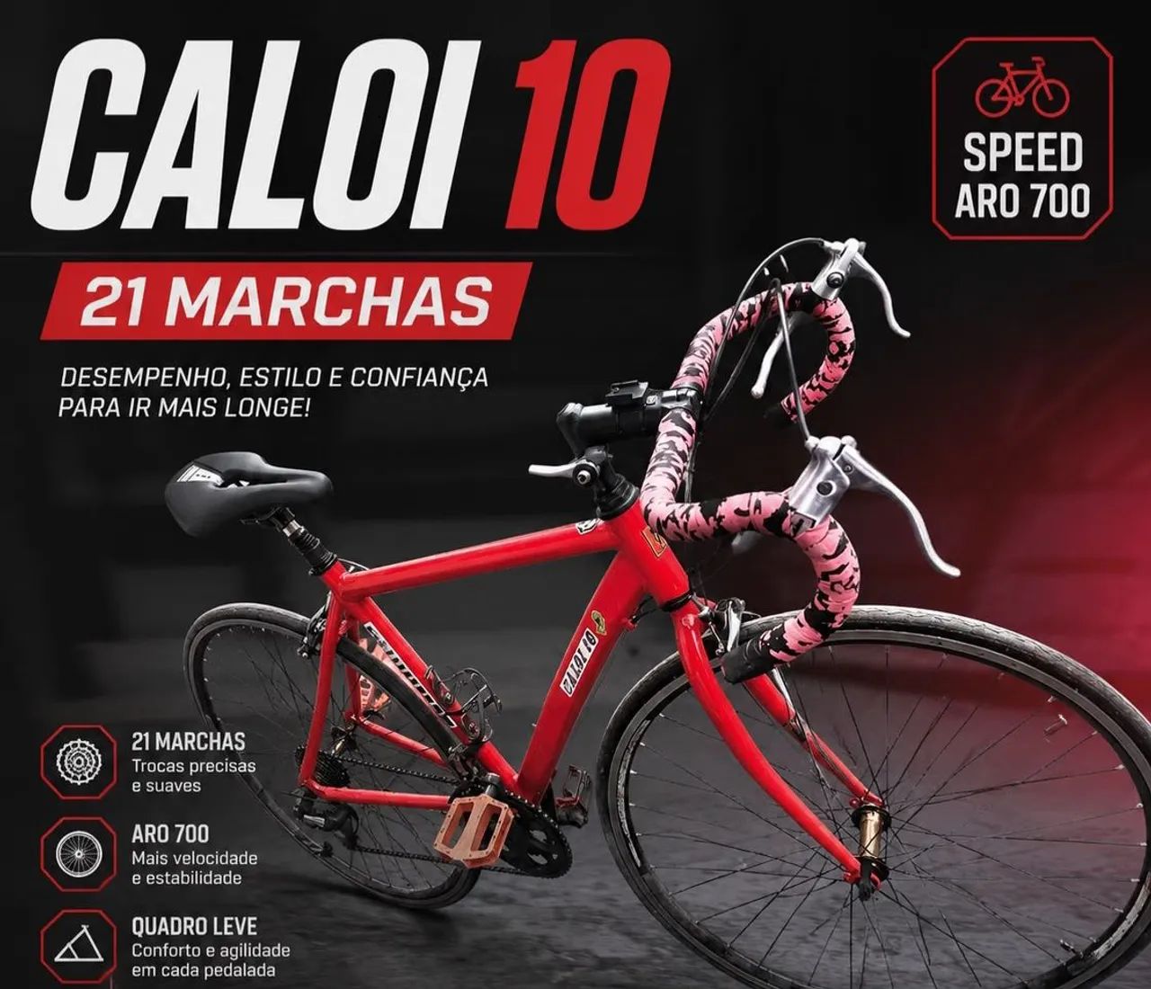 Bicicleta 