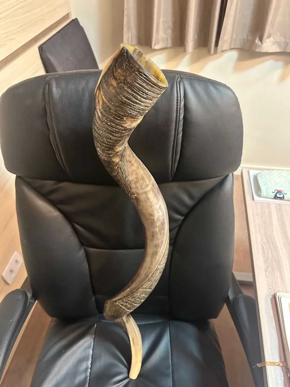 Shofar - Foto 2
