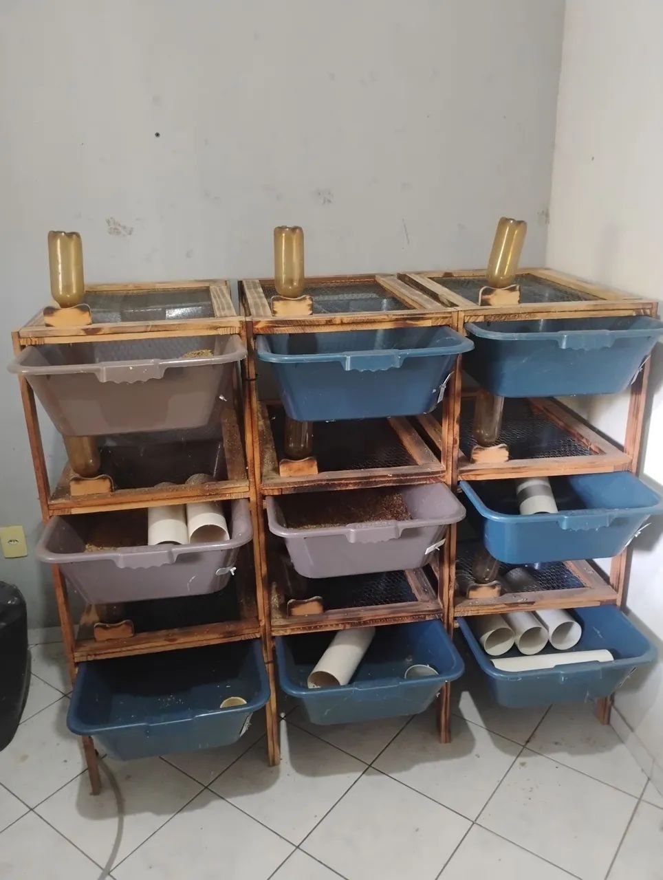 Biotério para ratos  - Foto 2
