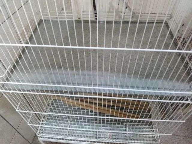 Gaiola - Foto 2
