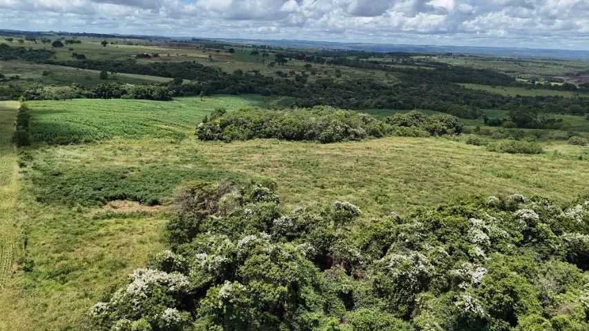  Chácara de 78 hectares em Jaraguari com córrego!! - Foto 5