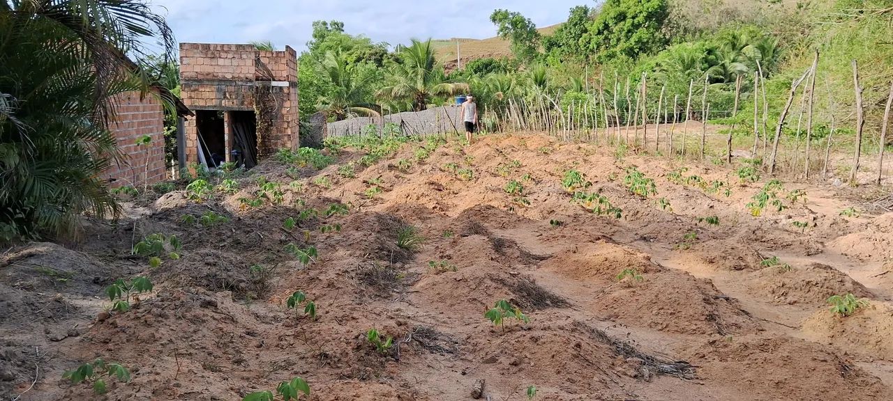 Venda de Terreno  - Foto 5
