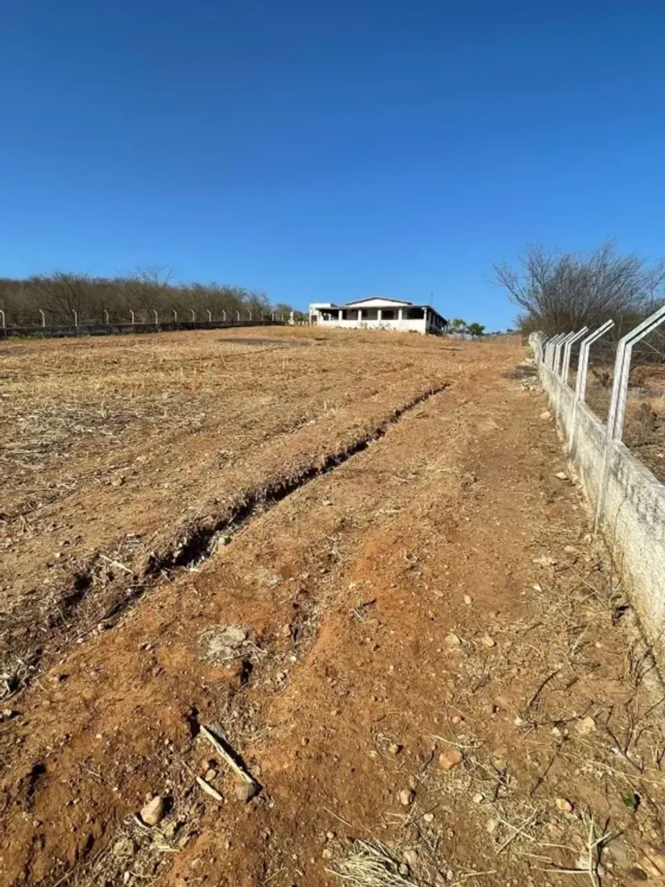 Granja com 1.3 hectares na região de Jucurutu-RN - Foto 5