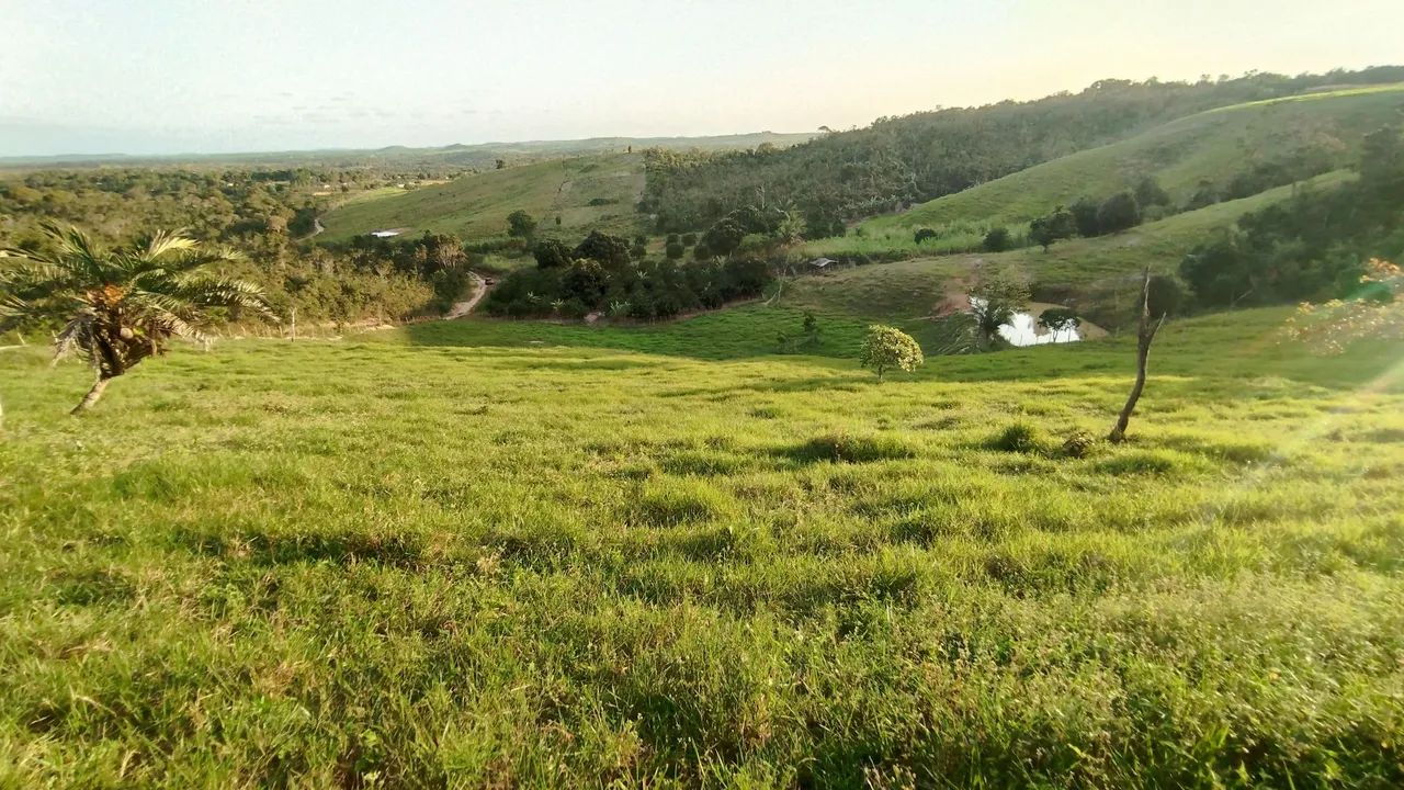 Sítio a venda em itaporanga D'ajuda  - Foto 4